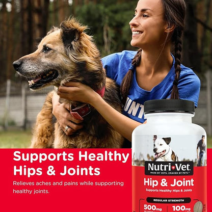 Nutri-Vet Hip & Joint Regular Strength Chewable Dog Supplements, Formulated with Glucosamine Chondroitin, Pet Supplies, Joint Supplement for Dogs, Pet Care, Puppy Essentials, 120 Count