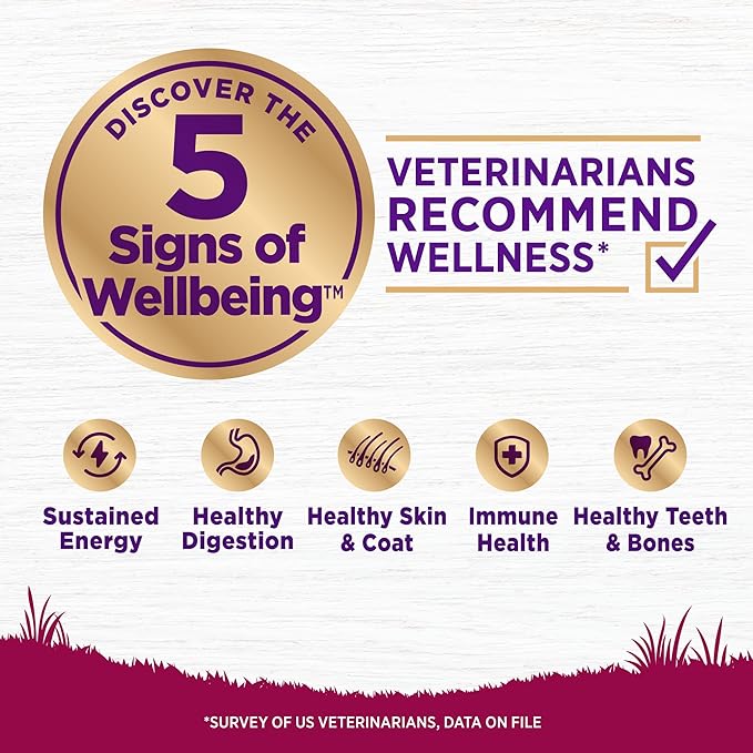 Wellness Complete Health Small Breed Adult Dry Dog Food, Grain Free Kibble, Chicken and Salmon Recipe, 4 lb Bag