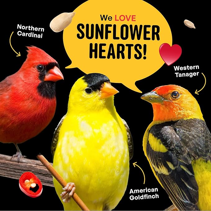 Cool Birds Hearts on Fire Hot Bird Seed – 10 lb. 100% Hulled Sunflower Hearts with Chili Pepper Oil – No Waste Bird Seed for Outside Feeders