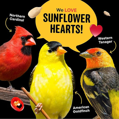 Cool Birds Hearts on Fire Hot Bird Seed – 10 lb. 100% Hulled Sunflower Hearts with Chili Pepper Oil – No Waste Bird Seed for Outside Feeders