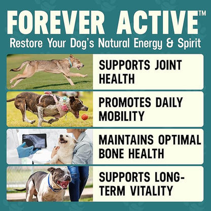 Better Dog Supplements Forever Active by Cesar Millan – Natural Dog Hip & Joint Care for Mobility, Flexibility & Comfort – Herbal Blend Dog Joint Supplement Powder – 4oz (60-Day Supply)