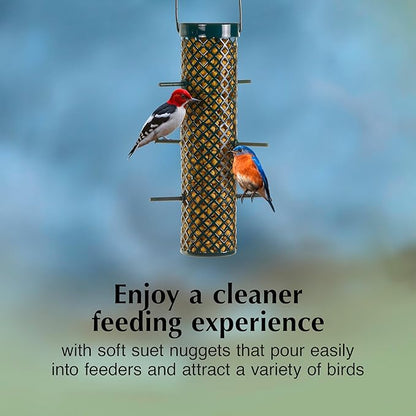 C&S Hot Pepper Suet Nuggets, Outdoor Wild Bird Food for Woodpeckers, Chickadees, Cardinals, Nuthatches and More, 27 Ounces