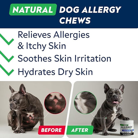 StrellaLab Dog Allergy Relief & Anti Itch Support Chews w/Omega 3: Real Ingredients, Real Taste! Skin & Coat Immune Supplement w/Fish Oil, Pumpkin & Enzymes — Developed by Experts - Made in USA -180Ct