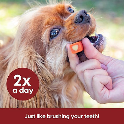 Ark Naturals Protection+ Brushless Toothpaste – Small Breeds, 35oz Bag – Dog Dental Chew with Toothpaste Center – Prevent Plaque & Tartar and Freshen Breath with Dental Chews for Dogs