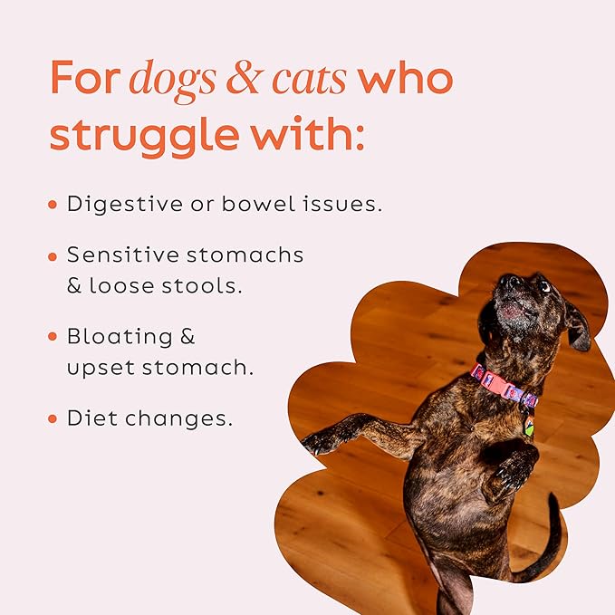 Diggin' Your Dog Firm Up! Pumpkin Bundle – Fiber Supplement with Pumpkin & Apple Fiber for Cat & Dog Digestive Support – Made in USA, 8oz
