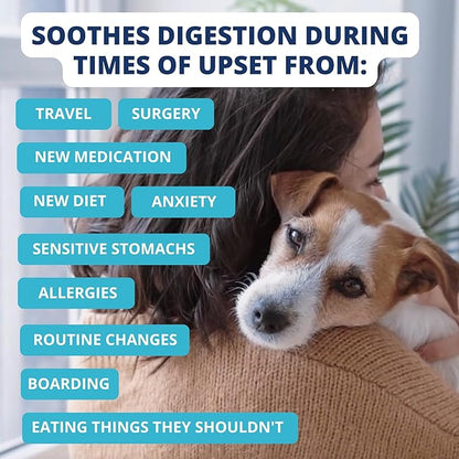 Under the Weather Bland Diet for Dogs | Easy to Digest for Sick Dogs | Always Be Ready | Contains Electrolytes - All Natural Freeze Dried 100% Human Grade Meats | 2 Pack - Chicken, Rice - 6oz