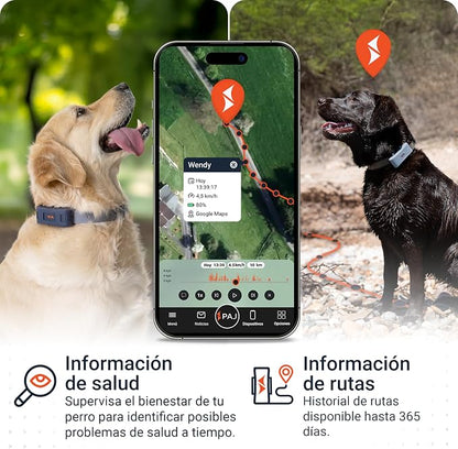 4G Dog GPS Tracker with Real-Time Location, Runaway Alerts, Activity Monitoring App, Waterproof Design & Rechargeable LED Dog Collar with 7 Color Modes, 27-Month Subscription Included – Black Bundle