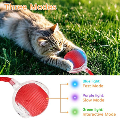 Goosheep 2025 New 2Pack Cat Ball Kitten Toys for Indoor Interactive Kitty Ball Toy Speedy Tail 360° Automatic Rolling for Dog, Cat(Red Grey)