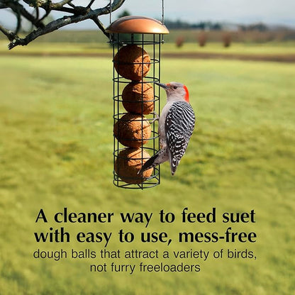 C&S Peanut Delight No Melt Dough Balls for Wild Birds Including Woodpeckers and Blue Jays, Pack of 4