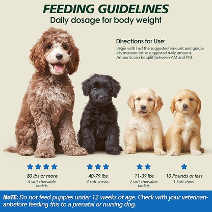 Probiotics for Dogs Gut Health, Digestion, Immunity, Relieve Diarrhea, Dog Probiotics Chews with Digestive Enzymes and Prebiotics, 200 Tablets (Chicken)