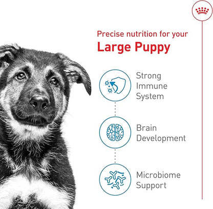 Royal Canin Size Health Nutrition Large Puppy Dry Dog Food, 4 lb Bag
