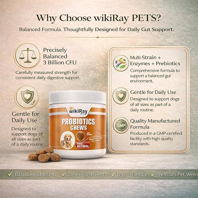 wikiRay Probiotics for Dogs – Soft Chews for Digestive Health & Immunity | 120 Chews | 3 Billion CFU, Pumpkin, Enzymes, Vitamins & Prebiotics | Made with Natural Ingredients