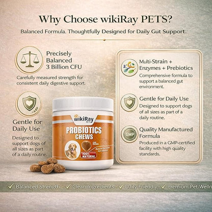 wikiRay Probiotics for Dogs – Soft Chews for Digestive Health & Immunity | 120 Chews | 3 Billion CFU, Pumpkin, Enzymes, Vitamins & Prebiotics | Made with Natural Ingredients