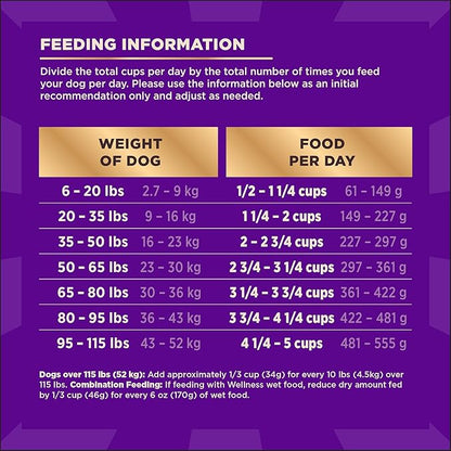 Wellness CORE+ Adult Dry Dog Food with Freeze Dried Pieces, Wholesome Grain Kibble+, Natural, High Protein, Beef and Barley Recipe, 4 lb Bag