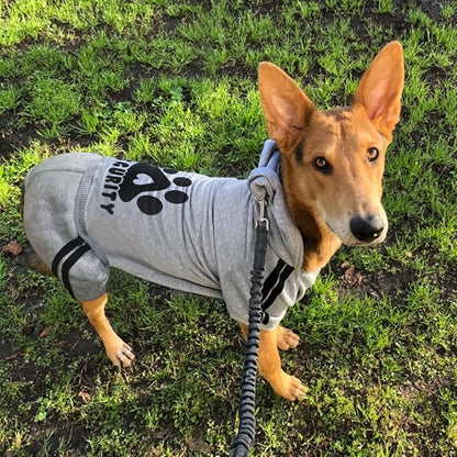 Dog Security Clothes - 4 Legs Jumpsuit Sweatshirt Hoodie - Soft & Warm Winter Outfit Pullover Sweater for Small Medium Large Dogs Cats (Grey, XX-Small)