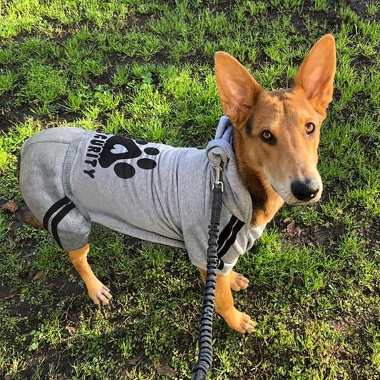 Dog Security Clothes - 4 Legs Jumpsuit Sweatshirt Hoodie - Soft & Warm Winter Outfit Pullover Sweater for Small Medium Large Dogs Cats (Grey, XX-Small)