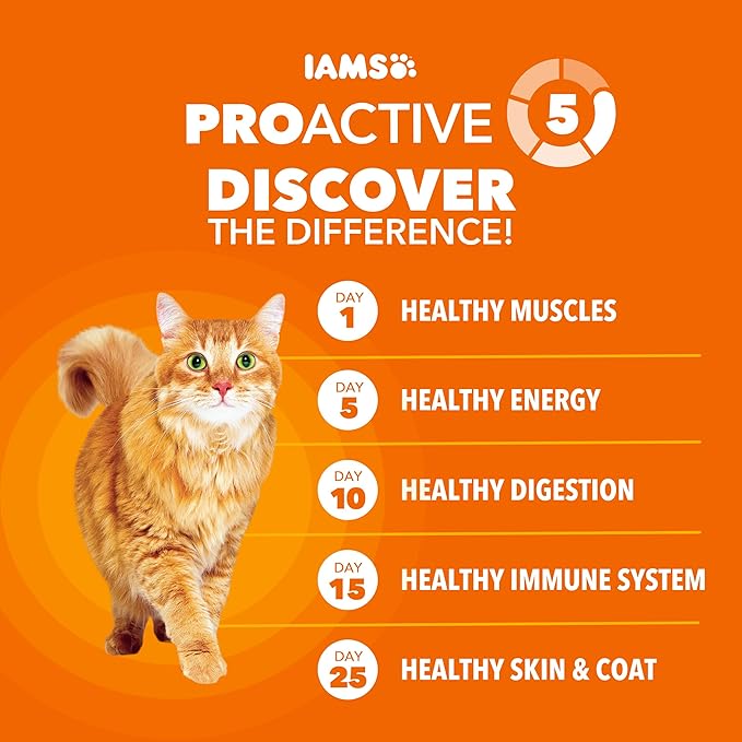 IAMS Proactive Health Dry Cat Food, Healthy Cat Food Dry Recipe for Adults, with Chicken 16 lb. Bag