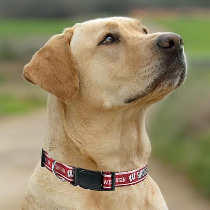 Pets First Collegiate PET Collar NEW VERSION Wisconsin Badgers Dog Collar, Size Small. Best Sports Team Color for Dogs & Cats. A Shiny & Colorful Dog & Cat Collar Licensed by The NCAA