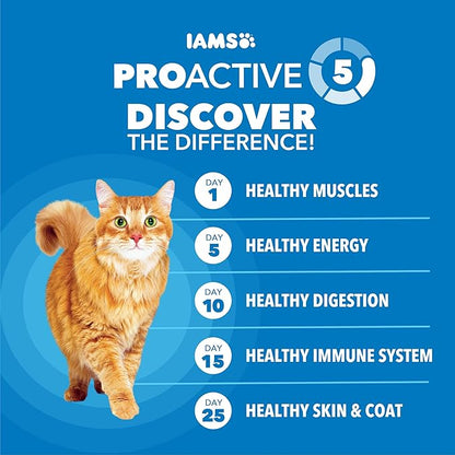 IAMS Proactive Health Healthy Weight Adult Dry Cat Food Chicken Flavor, Adult Cat Food Dry Recipe, 7 lb. Bag