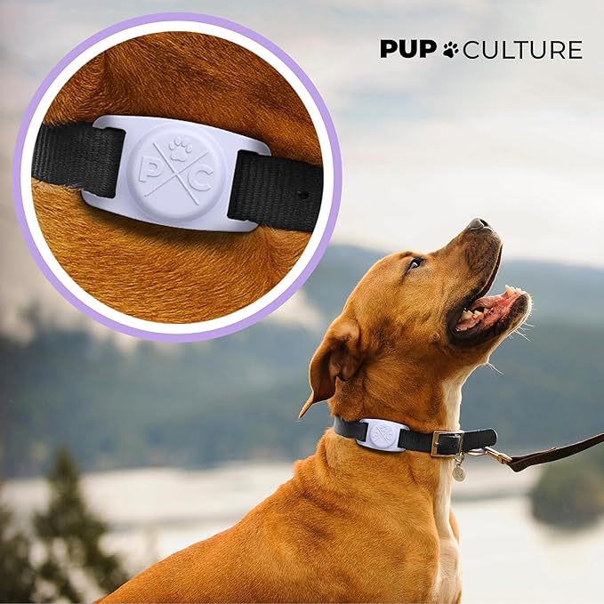 Durable, Lightweight AirTag Case for Dog Collar by Pup Culture