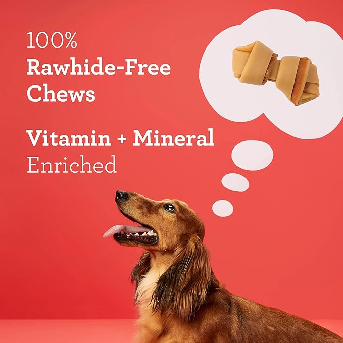 DreamBone Mini Chews, Made with Real Bacon and Cheese Flavor, Rawhide Free Dog Chews, 24 Count