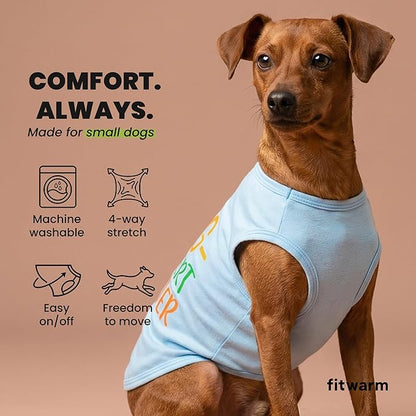 Fitwarm Egg-spert Hunter Dog Easter Outfit, Summer Clothes for Small Dogs Boy Girl, Pet Outfit, Blue, Red, Green, Orange, XL