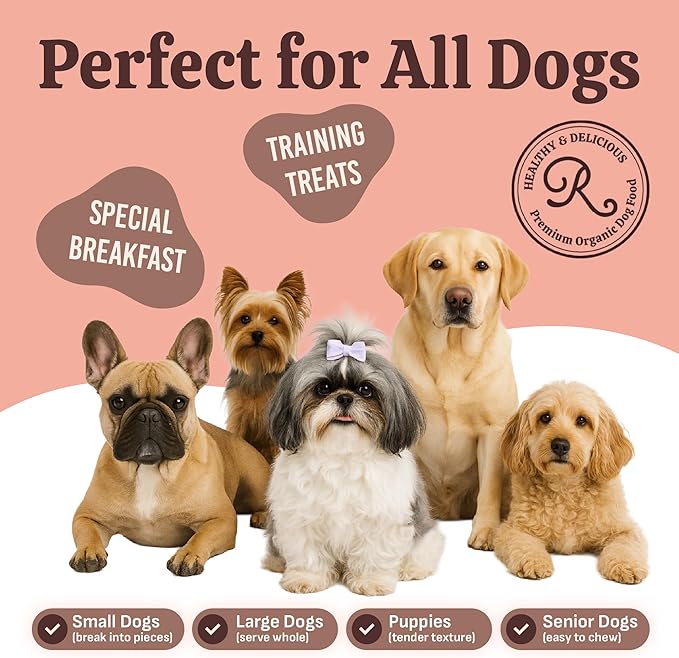 Rondi's Kitchen Organic Dog Pancake Mix - Natural Healthy Treat for All Dogs - Superfood Snack Made with Human-Grade Ingredients - Makes About 38 Pancakes - Chicken & Peanut Butter with Bone Broth