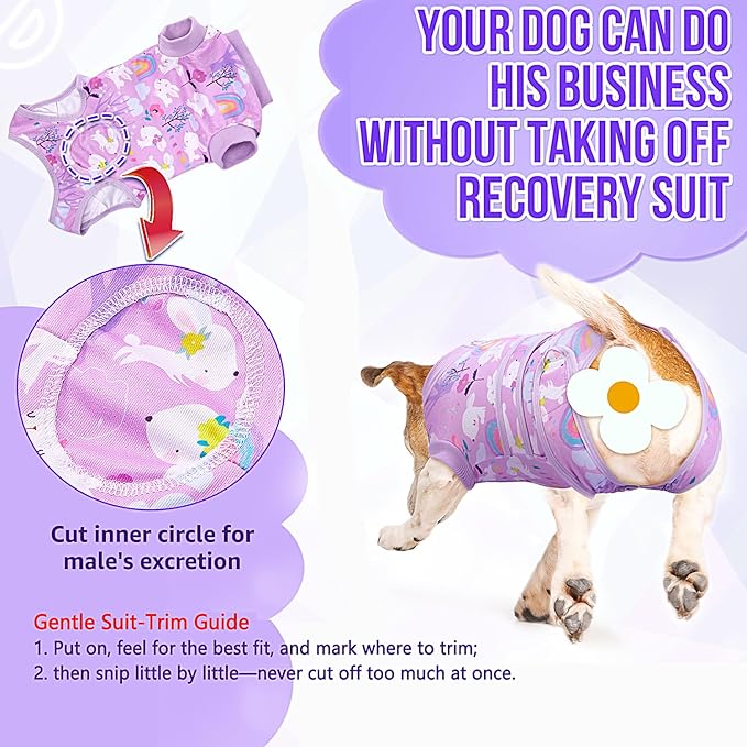 Lukovee Recovery Suit for Dogs, Zipper On Dog Surgery Suit for Female Male Dog, Onesies Bodysuit Prevent Licking Spay Abdominal Wounds Bandages E-Collar Alternative (Purple, S)