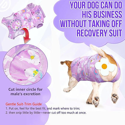 Lukovee Recovery Suit for Dogs, Zipper On Dog Surgery Suit for Female Male Dog, Onesies Bodysuit Prevent Licking Spay Abdominal Wounds Bandages E-Collar Alternative (Purple, XS)