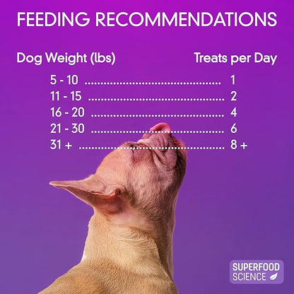 Organic Dog Treats, Soft & Chewy Organic Turkey Dog Treats, Low Calorie Hypoallergenic Natural Limited Ingredient Training Treats, Puppies & All Dog Sizes, Made in USA, for Sensitive Stomachs, 5 oz