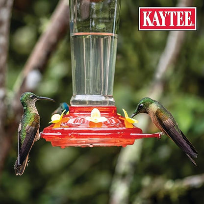 Kaytee Hummingbird ElectroNectar Wild Bird Food,16 oz Concentrate,Makes 128 oz of ElectroNectar,(Pack of 4)