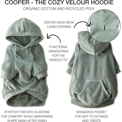 Pet Passion Cooper II Organic Cotton Velour Dog Hoodie Pet Coat for Small, Medium and Large Dogs, Sage, X-Small (5-12 lbs)