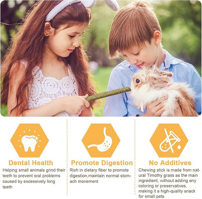 VESPRO 52P Small Animals Play Balls, Rolling Chew Toys & Chew Grass Balls for Bunny,Timothy Hay Sticks for Chinchillas Hamsters Rabbit Guinea Pig Rats and Animals Teeth Care
