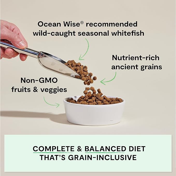 Open Farm, Ancient Grains Dry Dog Food, Protein-Rich & Nutrient Dense, 90% Animal Protein Mixed with Non-GMO Fruits, Veggies and Superfoods, Catch-of-the-Season Whitefish Recipe, 4lb Bag
