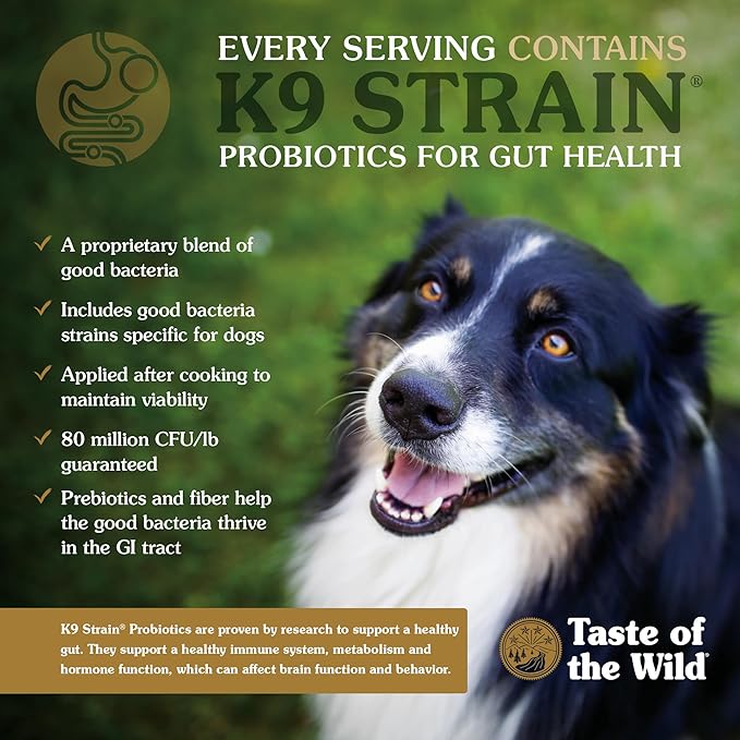 Taste of the Wild with Ancient Grains Ancient Mountain Canine Recipe with Roasted Lamb Dry Dog Food, Made with High Protein from Real Lamb and Guaranteed Nutrients and Probiotics 5lb