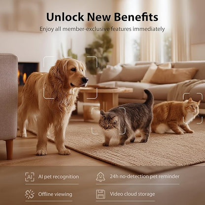 IMIPAW Automatic Cat Feeder with Camera - AI Pet Recognition & Recording, Night Vision, 5G WiFi APP Remote Control, Two-Way Audio & Desiccant Bag, Timed Programmable Food Dispenser for Small Pets