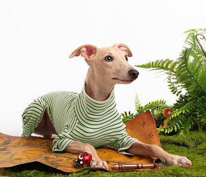 Dog Sweaters for Small Dogs Girls Boys, Striped Pet Sweaters for Fall Winter Dog Clothes, Turtleneck Pullover Knitwear for Small Medium Large Dogs