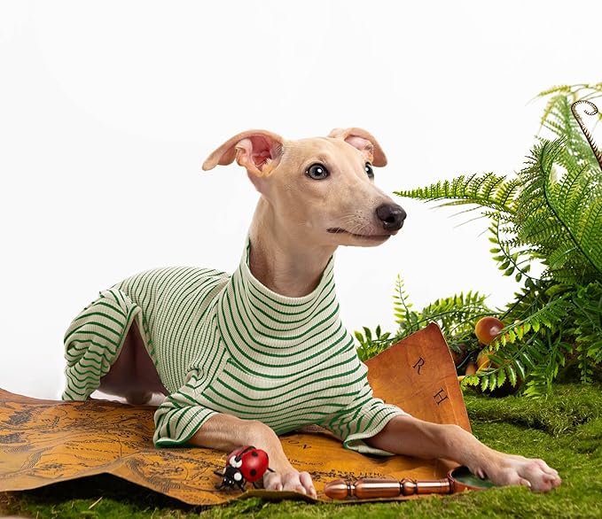 Dog Sweaters for Small Dogs Girls Boys, Striped Pet Sweaters for Fall Winter Dog Clothes, Turtleneck Pullover Knitwear for Small Medium Large Dogs