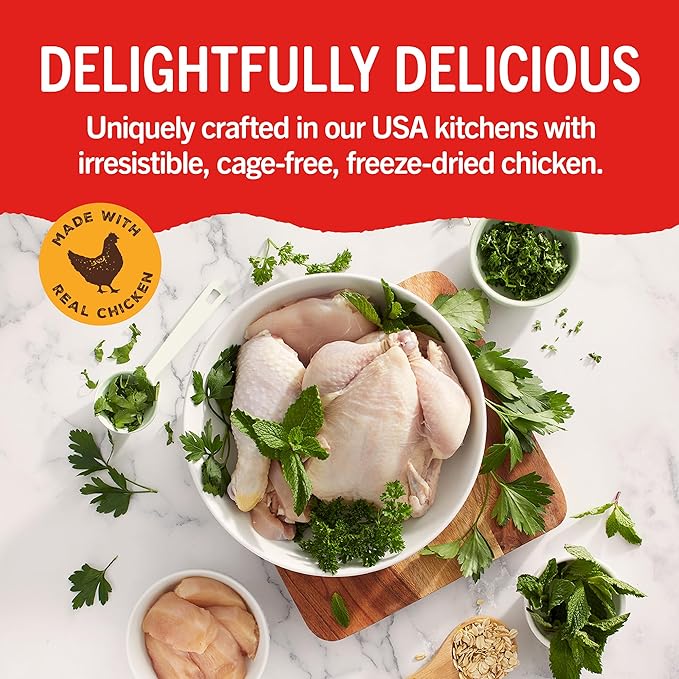 Stella & Chewy's Dental Delights with Freeze-Dried Chicken - Large Dental Treats for Dogs, Single Serve