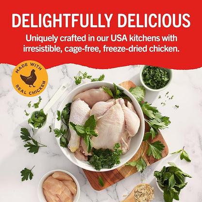 Stella & Chewy's Dental Delights with Freeze-Dried Chicken - Large Dental Treats for Dogs, Single Serve