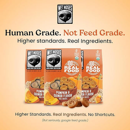 Wet Noses Organic Crunchy Dog Treats – All-Natural, Human-Grade, Non-GMO, Healthy Training & Delicious Snacks for Dogs, for All Dog Sizes & Breeds – Grain Free Pumpkin & Quinoa, 5lb (Single Pack)