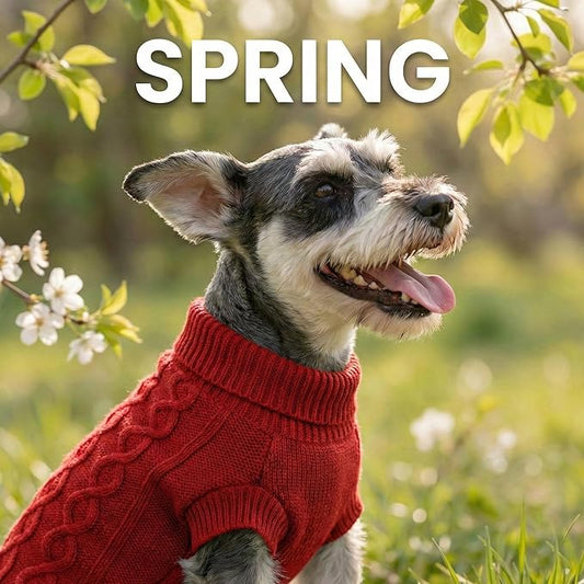 Cable Knitwear Valentines Dog Sweater, Warm Clothes for Chihuahua, Bulldog, Dachshund, Pug, Yorkie,Dog Outfits for Small Dogs Medium Dogs (Red XS)