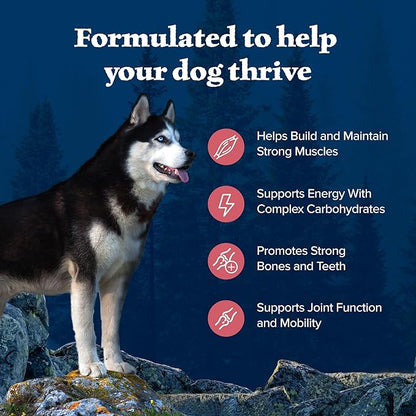 Blue Buffalo Wilderness Adult High-Protein Dry Dog Food Natural Salmon with Wholesome Grains