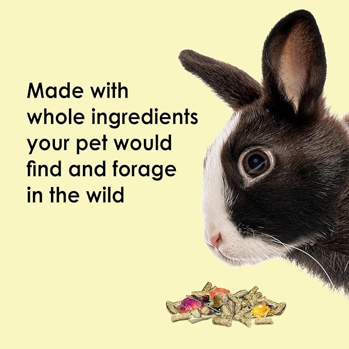 Kaytee Food from The Wild Natural Pet Rabbit Food,4 Pound,(Pack of 2)