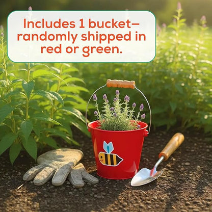 Toysmith Kids Gardening & Beach Bucket – 5″ Metal Pail with Grippable Handle | Assorted Bee & Beetle Colors | Durable Steel for Outdoor Play - 1 Count