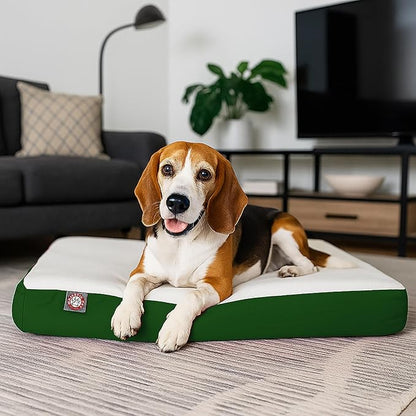 Majestic Pet 34x24x3 Inch Green Orthopedic Memory Foam Rectangle Dog Bed – Medium Size Crate Dog Bed for Dogs with Joint Pain, Arthritis – Durable Pet Mattress with Egg Crate Foam, Washable Cover