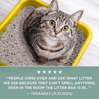 Purina Tidy Cats Clumping Cat Litter Odor Control, Free and Clean Unscented Multi Cat Litter - 16 lb. Bag