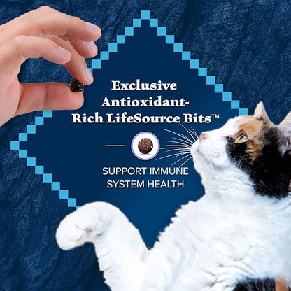Blue Buffalo Wilderness Natural Kitten Dry Cat Food, with DHA and ARA to Support Brain and Eye Development, High-Protein and Grain-Free Diet, Chicken, 5-lb. Bag