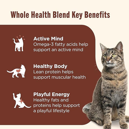 Nutrish Grain Free Wet Cat Food Chicken & Shrimp Pawttenesca Whole Health Blend with Real Shredded Chicken & Whole Shrimp in Sauce, 2.8 oz. Cup (Rachael Ray) (Pack of 12)