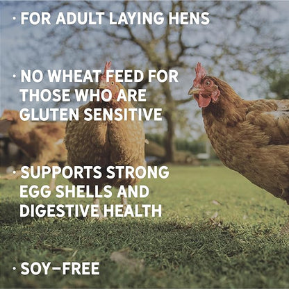 New Country Organics | Wheat-Free Chicken Feed 40lbs | Layer Feed for Laying Hens | Gluten-Free and Soy-Free | 17% Protein | Certified Organic and Non-GMO Chicken Food | 40 lbs